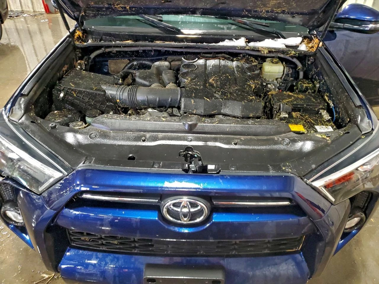 Toyota 4runner 4l Sr5/Sr5 Premium | Mobile.bg � ����������� 12
