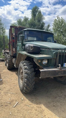 Ural Crone, снимка 1