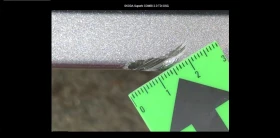 Skoda Superb 2.0 / TDI / DSG / 22054KM - цена по договаряне - 53161075 10