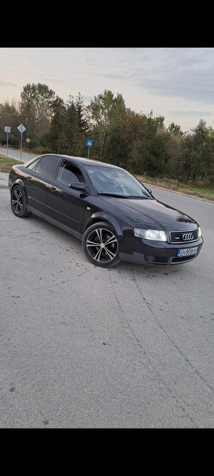 Audi A4 3.0, снимка 1 - Автомобили и джипове - 47413725