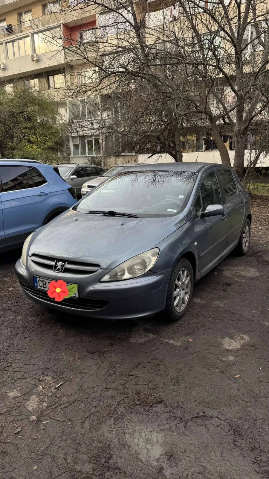 Peugeot 307