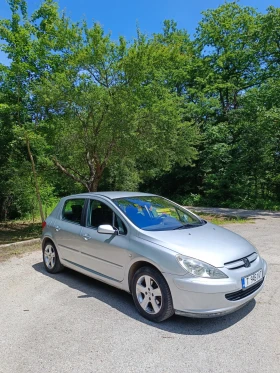  Peugeot 307