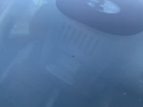 VW Sharan 2.0 TDI DSG - 3300 € / 6454.24 лв. - 61490676 16