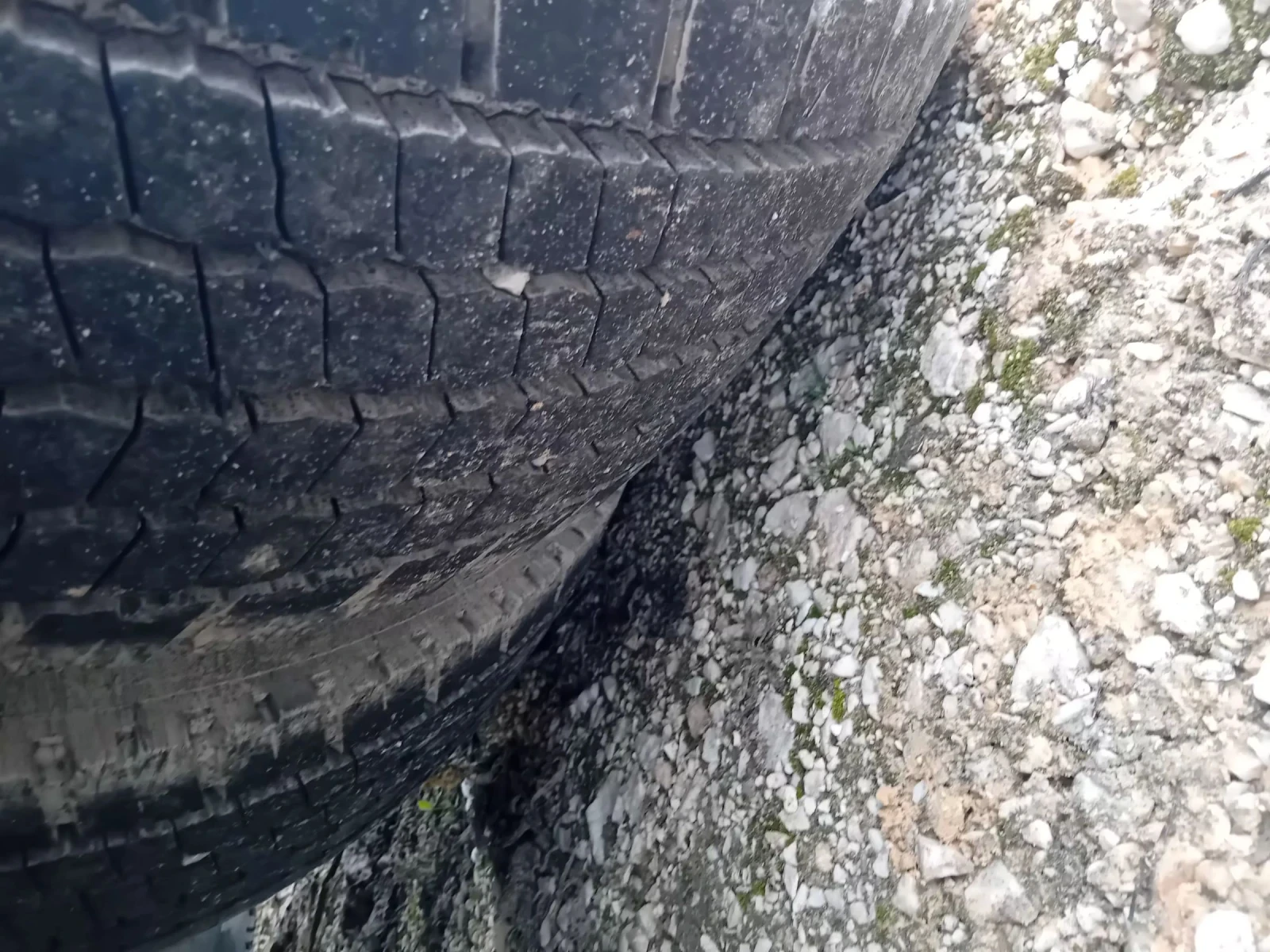 Man Tgx TGX 18.500 -�������� | Mobile.bg � ����������� 17