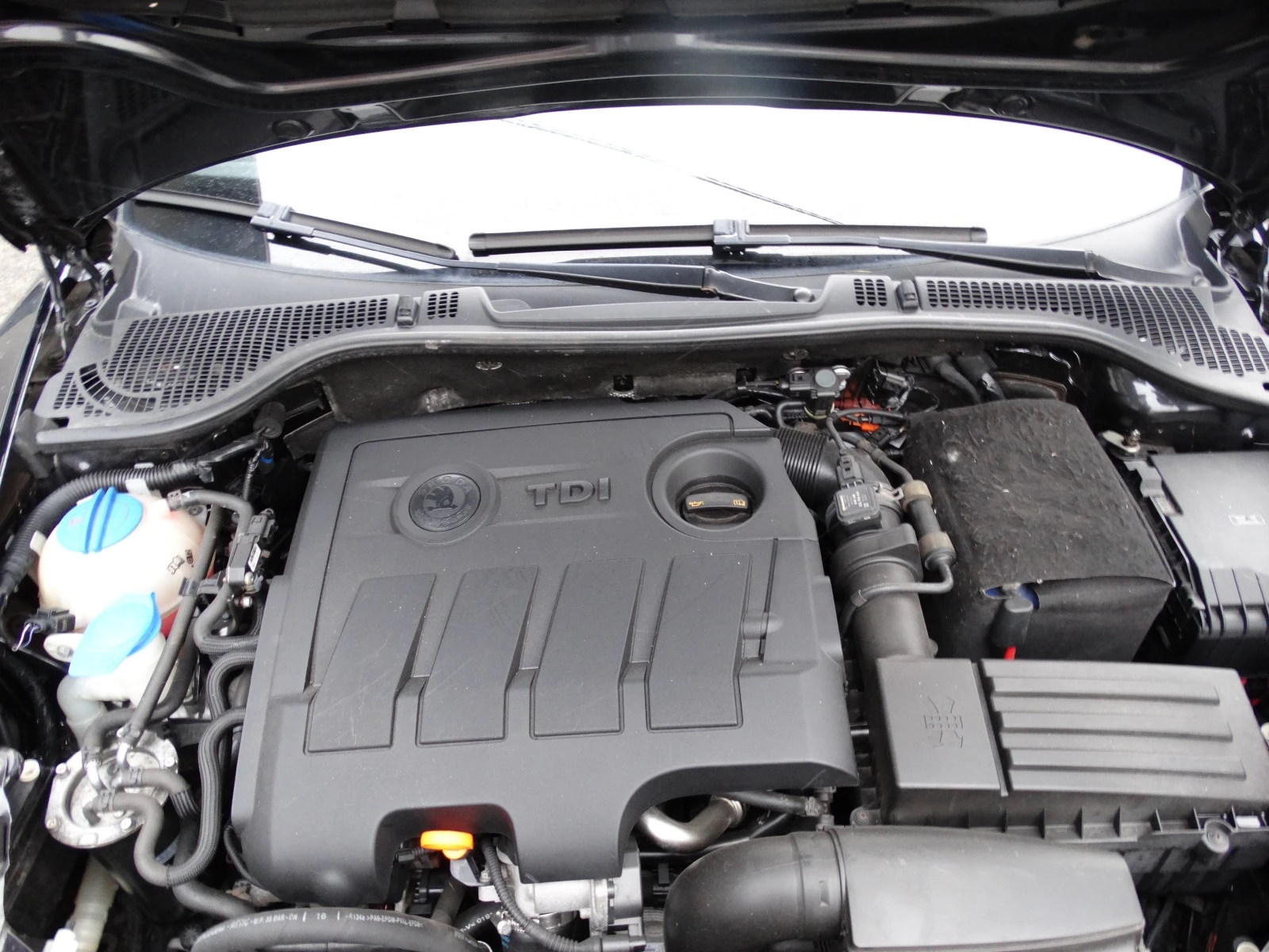 Skoda Octavia 1.6 TDI 4X4 PROMOCIQ | Mobile.bg   17