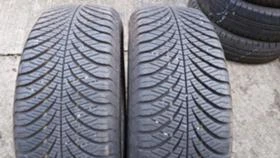      205/60R16