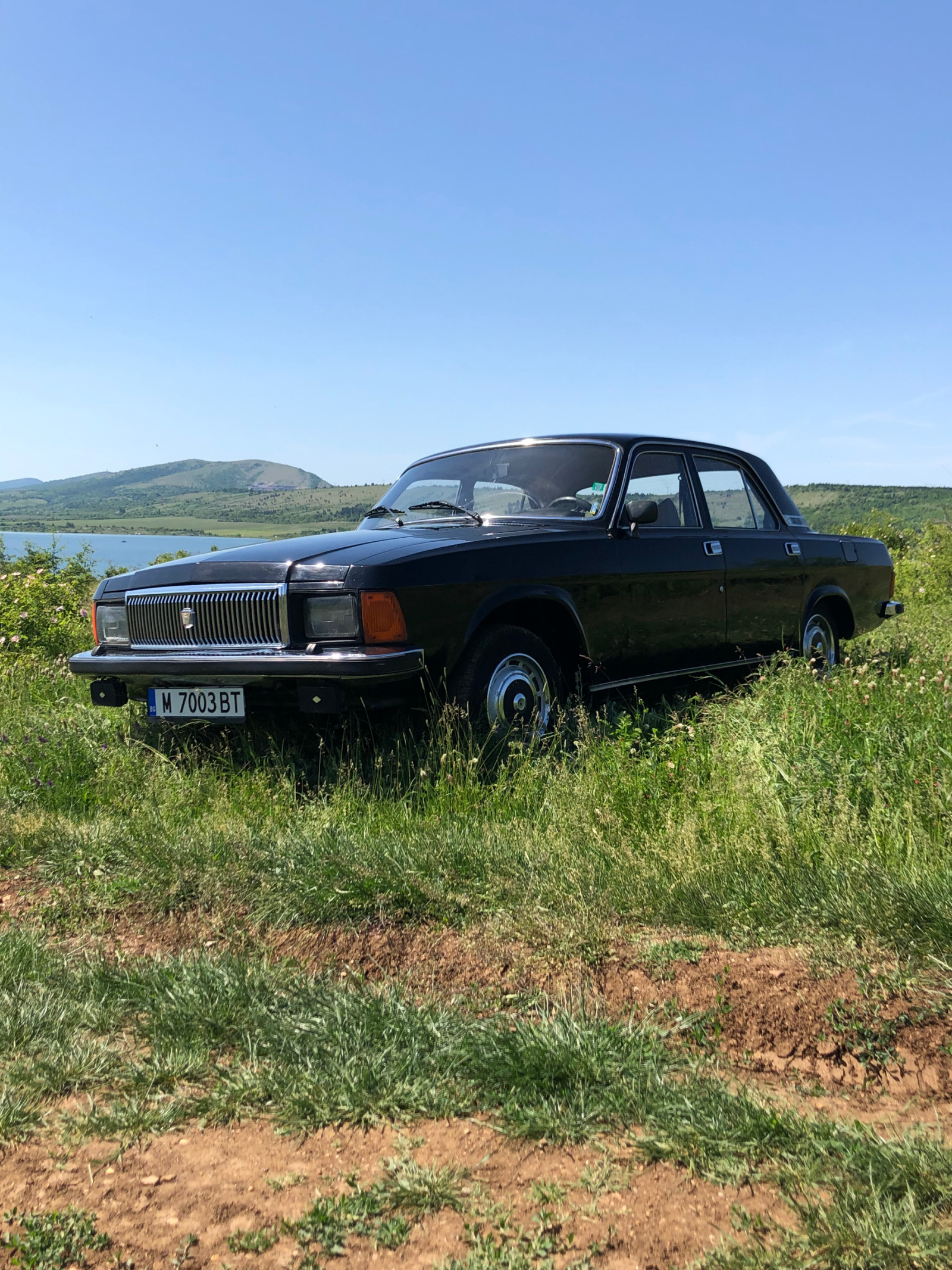 Volga 3102  - изображение 1