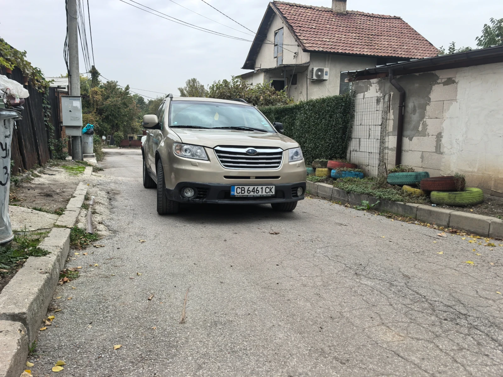 Subaru B10 Tribeka | Mobile.bg   1