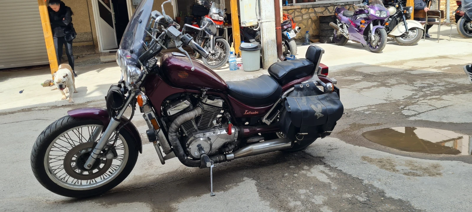 Suzuki Intruder Регистриран, обслужен, всичко Платено  - изображение 5