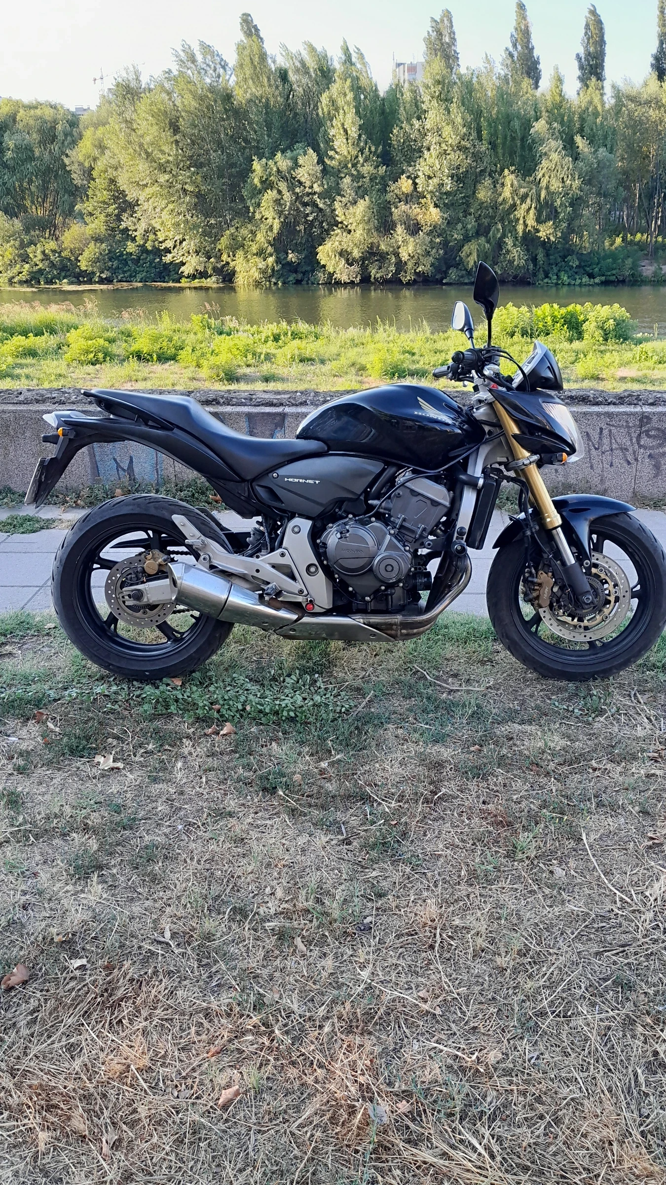 Honda Hornet CB600FA - изображение 4