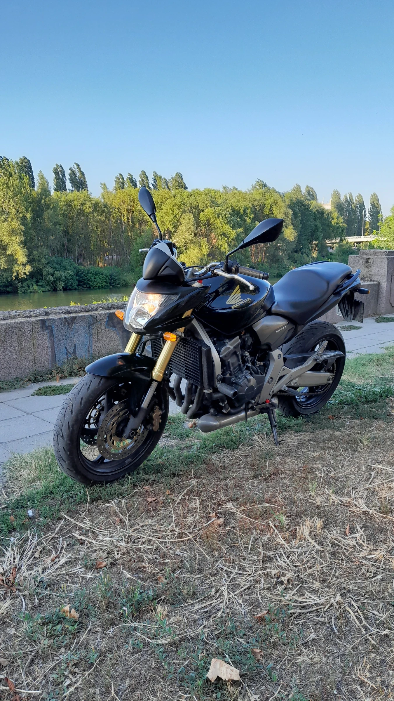 Honda Hornet CB600FA - изображение 3