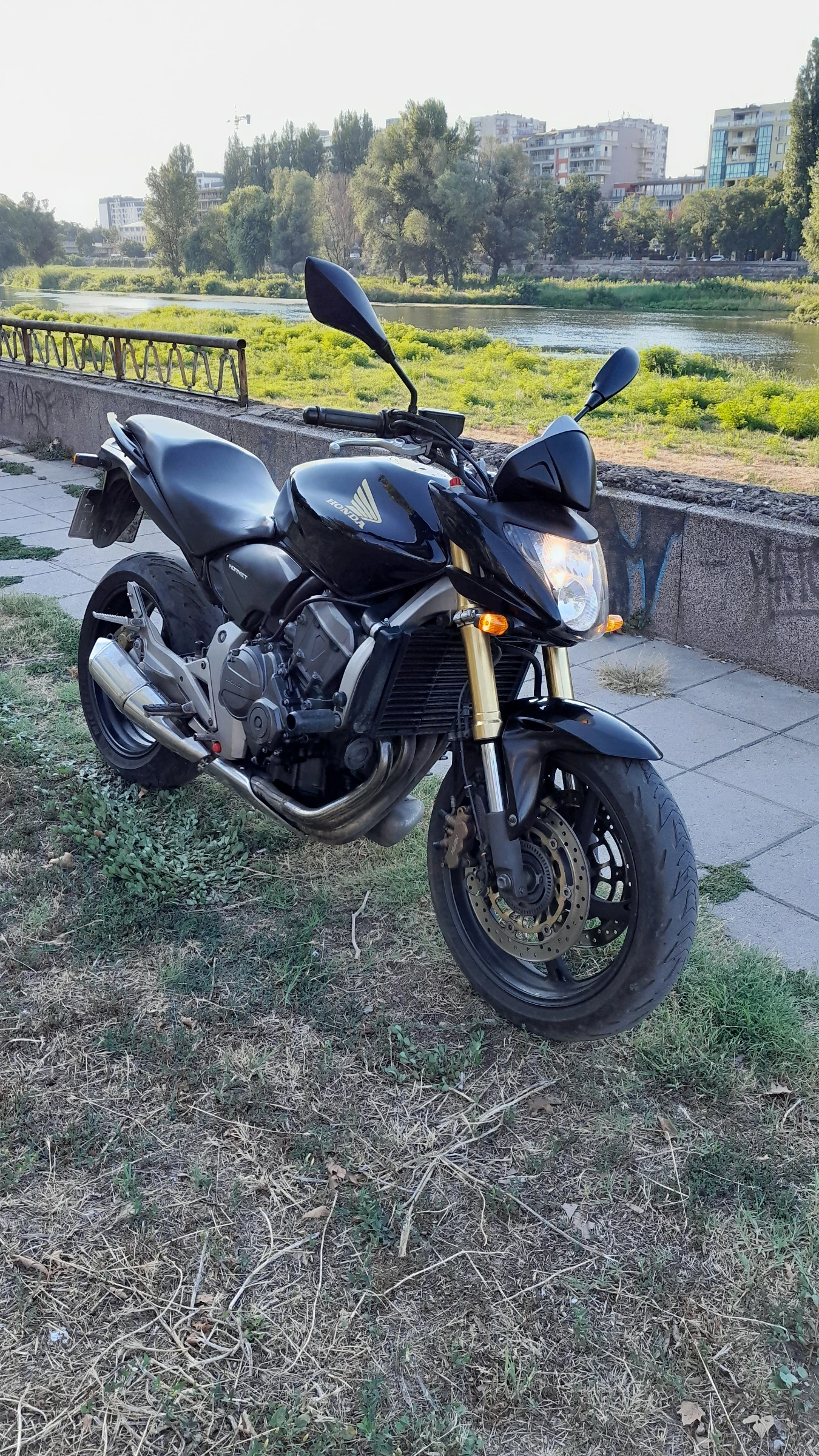 Honda Hornet CB600FA - изображение 5