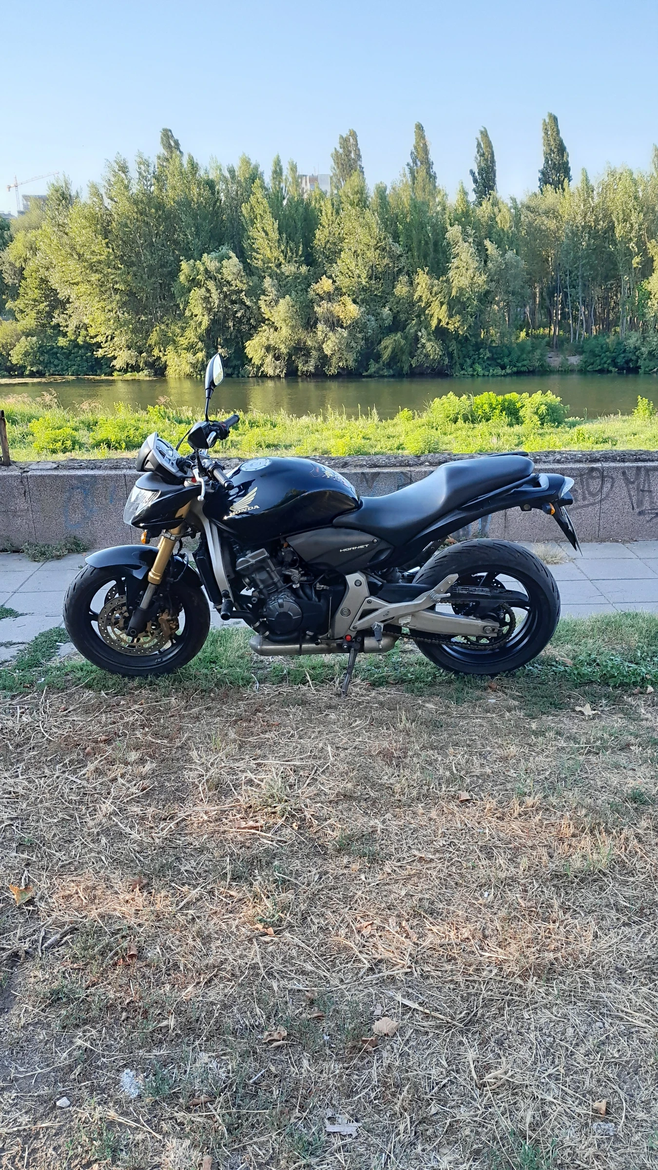 Honda Hornet CB600FA - изображение 6