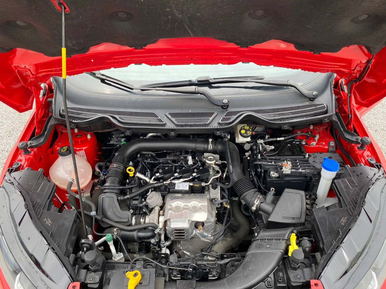 Ford EcoSport 1.0i st line | Mobile.bg — изображение 15