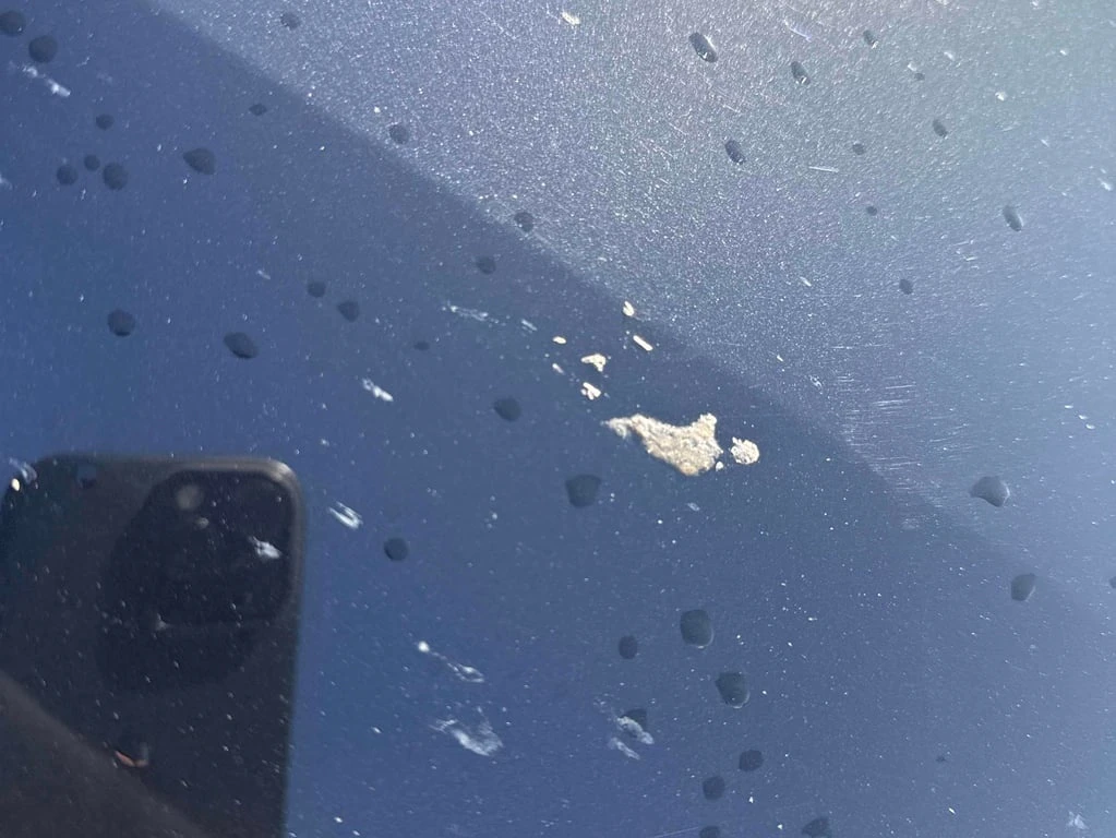 Audi Q7 * Progressiv * CARFAX * 360 * �������� * ��������� | Mobile.bg � ����������� 13