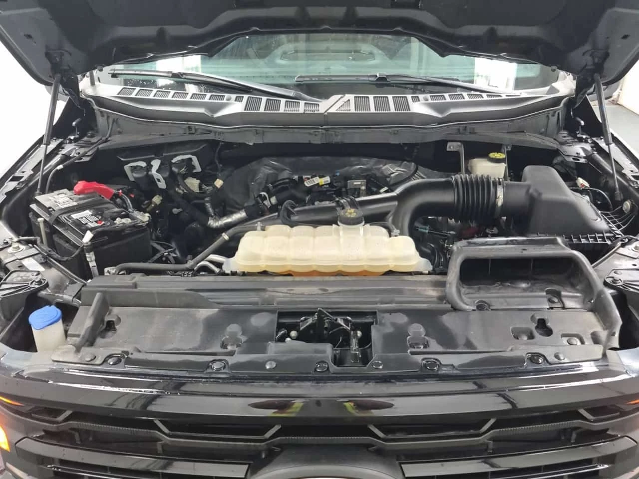 Ford F150 * 4wd Supercrew 5.5' Box Xlt Crew Cab Short Be | Mobile.bg � ����������� 16