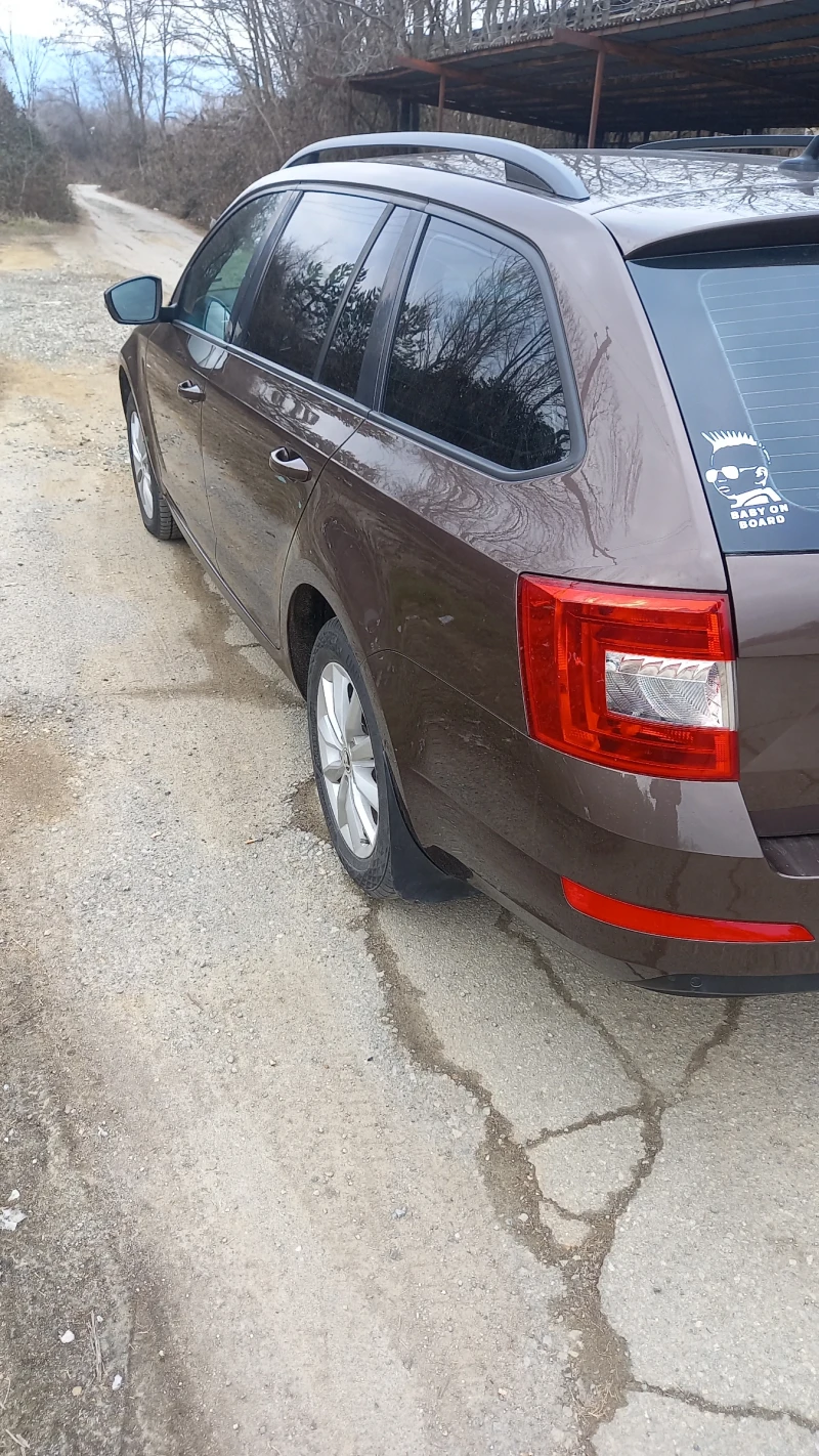 Skoda Octavia, снимка 4 - Автомобили и джипове - 49271459