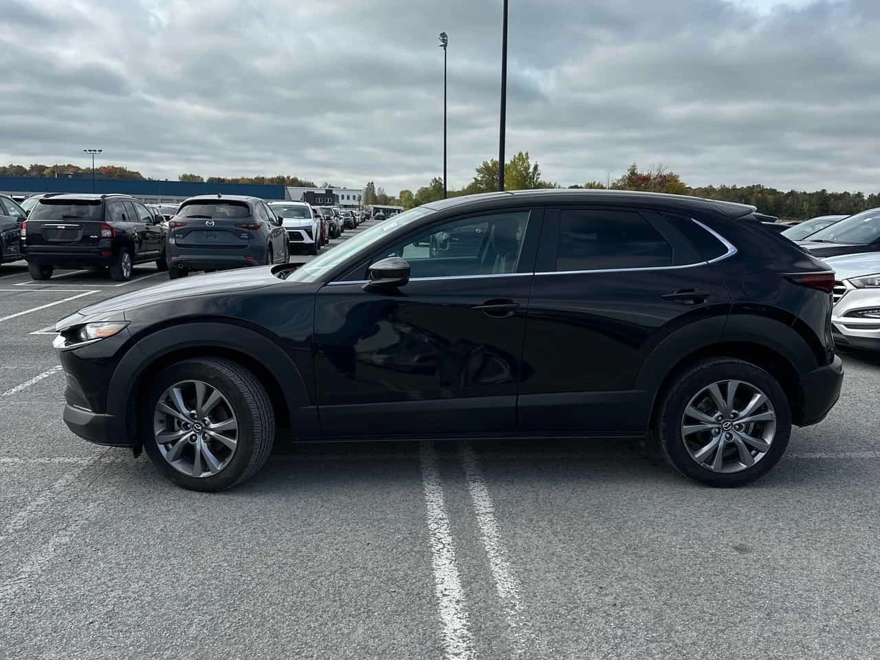 Mazda CX-30  GS / CARFAX / ЦЕНА ДО БЪЛГАРИЯ , снимка 2 - Автомобили и джипове - 56312967