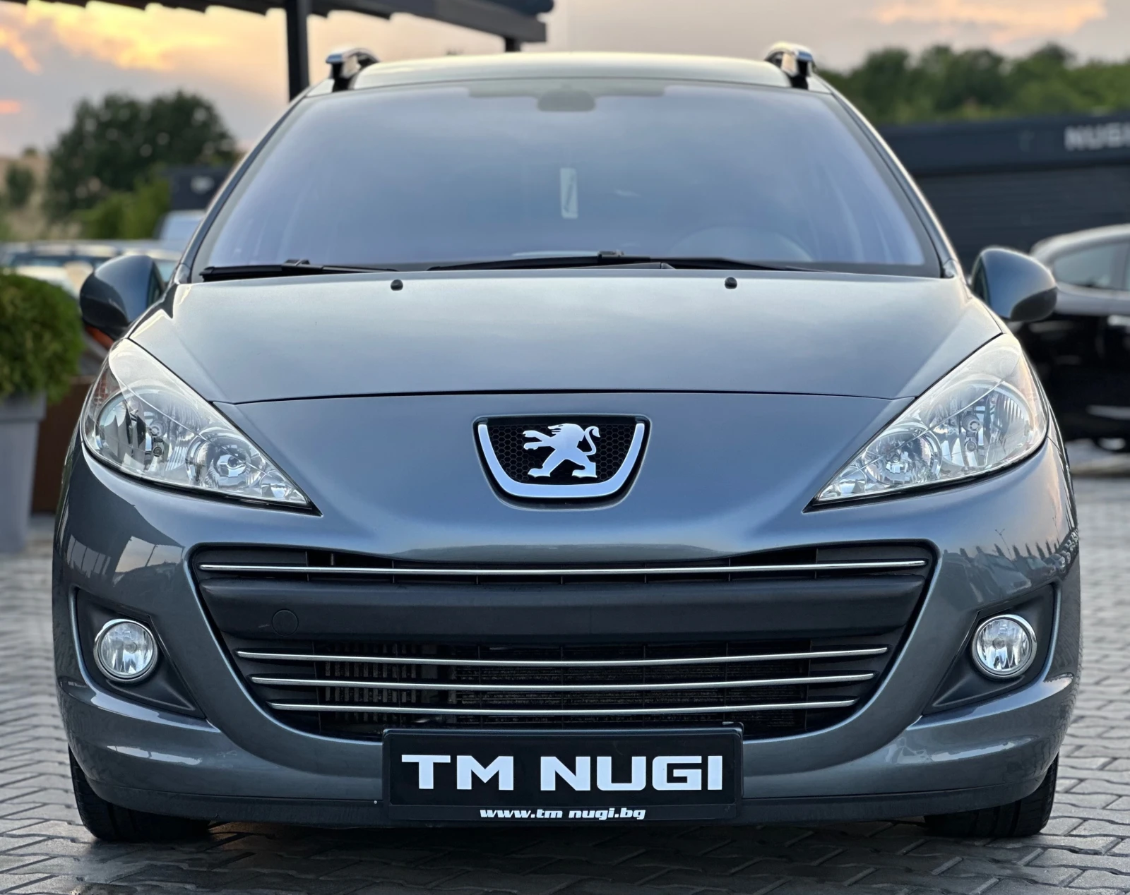 Peugeot 207 1.6HDI* ПАНОРАМА* ТОП* , снимка 1