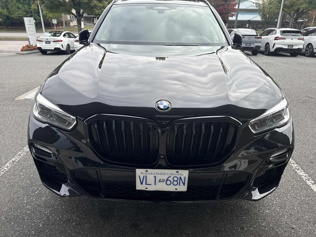 BMW X5 40i/DISTR/�����/SWAROVSKI/������/SKYLOUNGE/360 | Mobile.bg � ����������� 4
