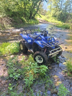 Keeway ATV  | Mobile.bg    8