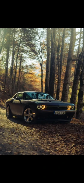 Dodge Challenger, снимка 7