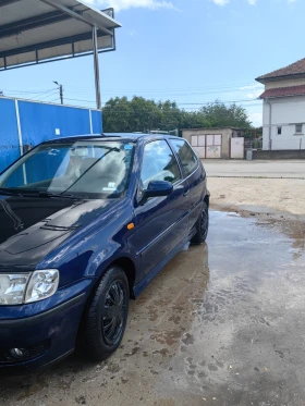     VW Polo