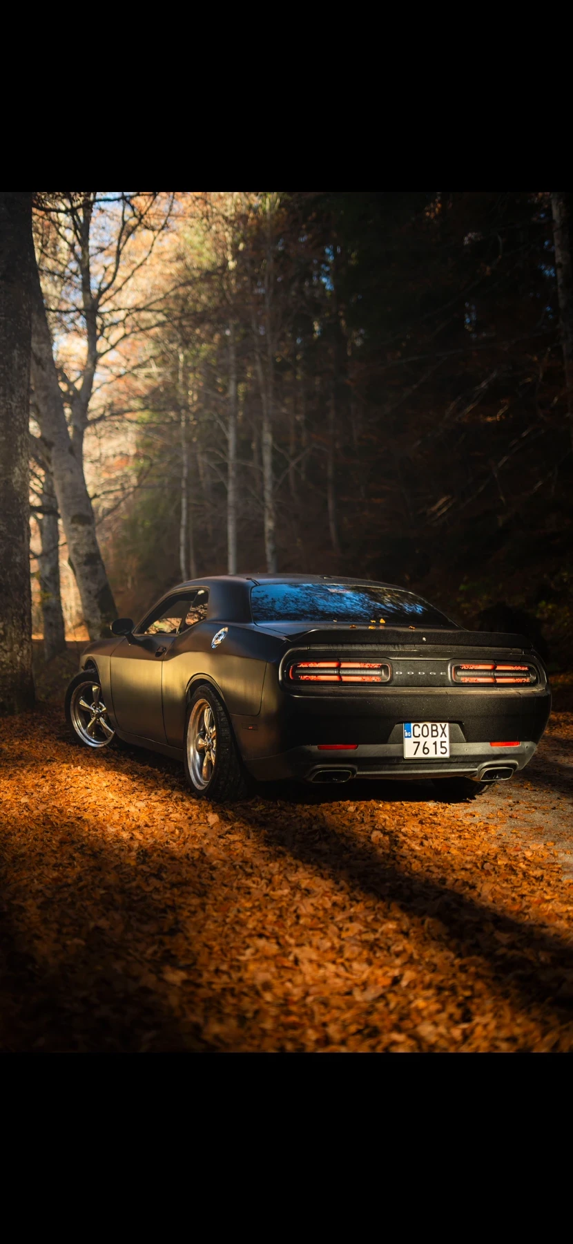Dodge Challenger, снимка 8 - Автомобили и джипове - 56152004