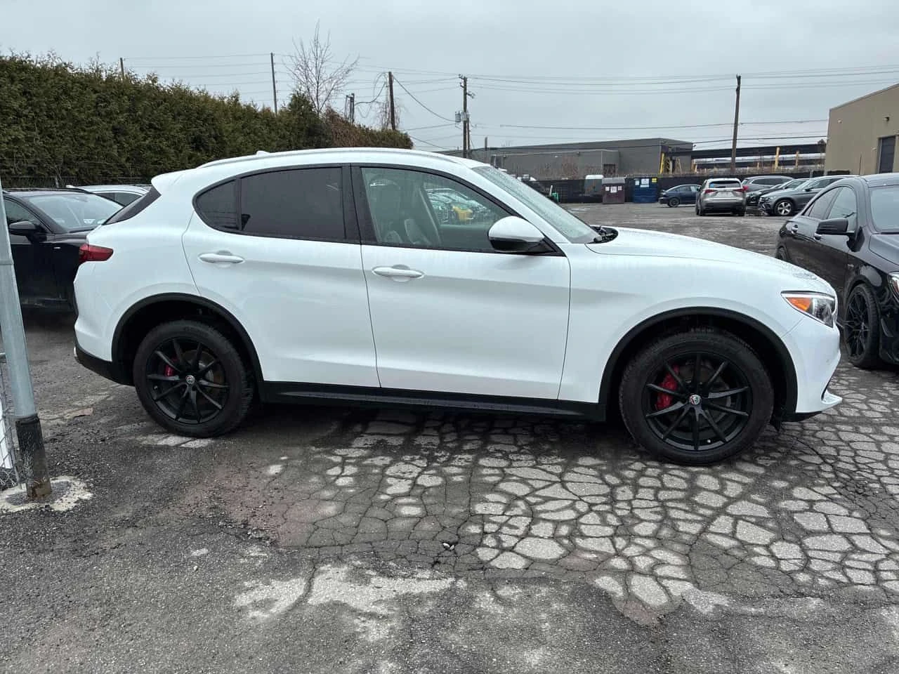 Alfa Romeo Stelvio * Ti * ПОДГРЕВ* ДИСТРОНИК* , снимка 4 - Автомобили и джипове - 54331109