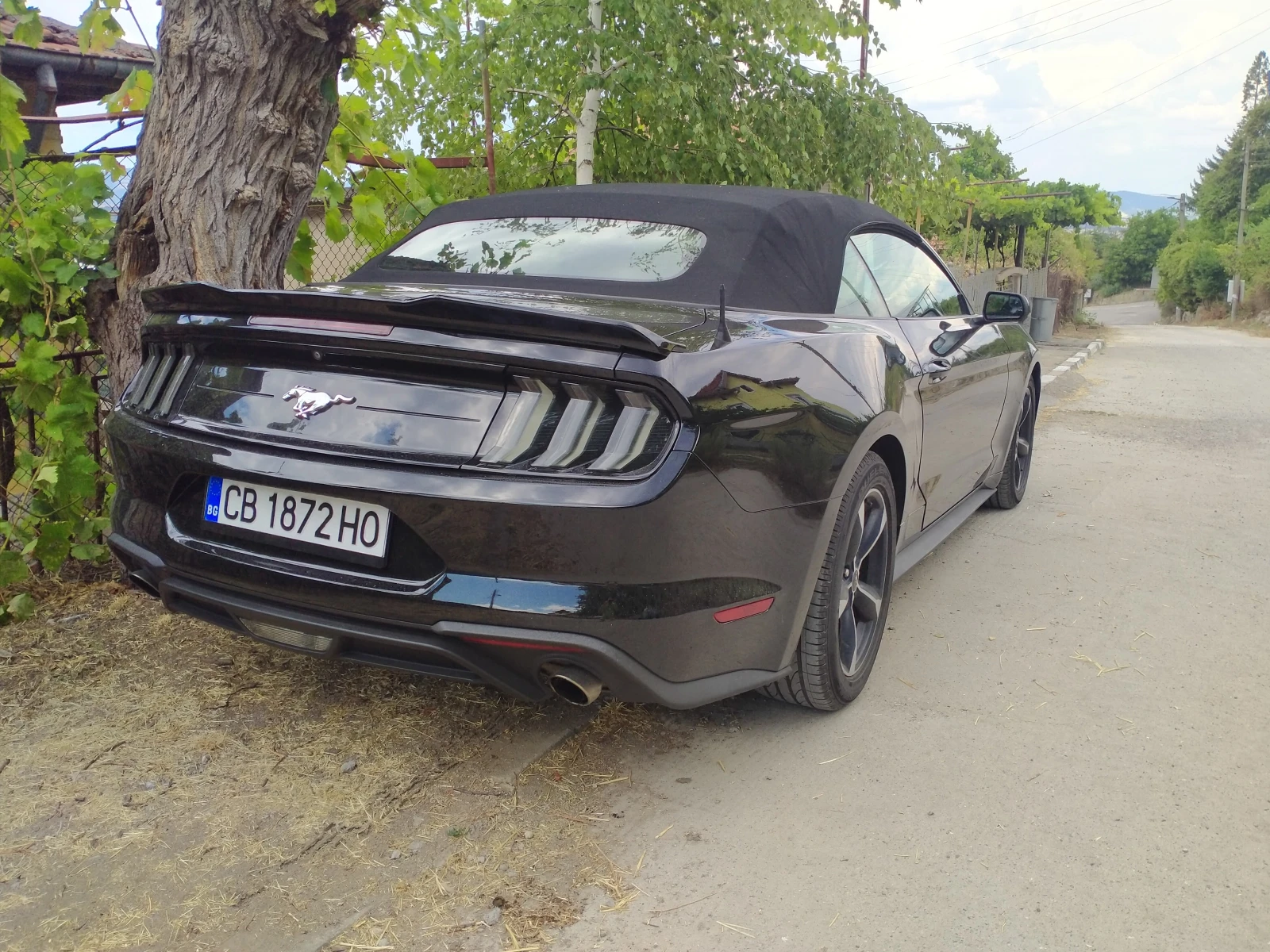 Ford Mustang  - изображение 3
