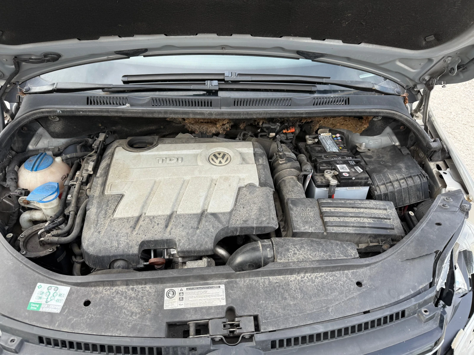 VW Golf Plus 2, 0 TDI 110 .    | Mobile.bg   15