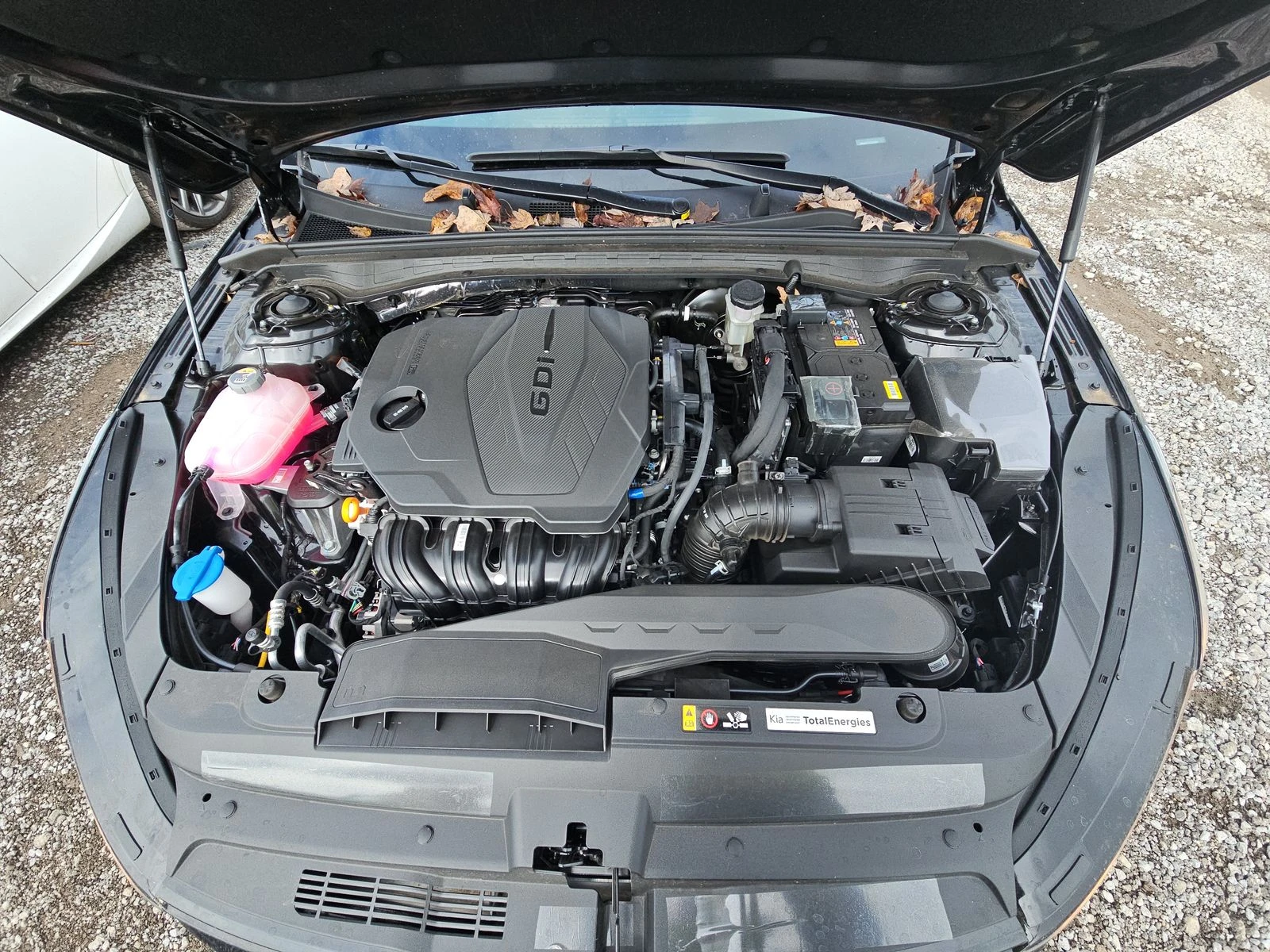 Kia K5 * GT LINE* DIGITAL | Mobile.bg   16