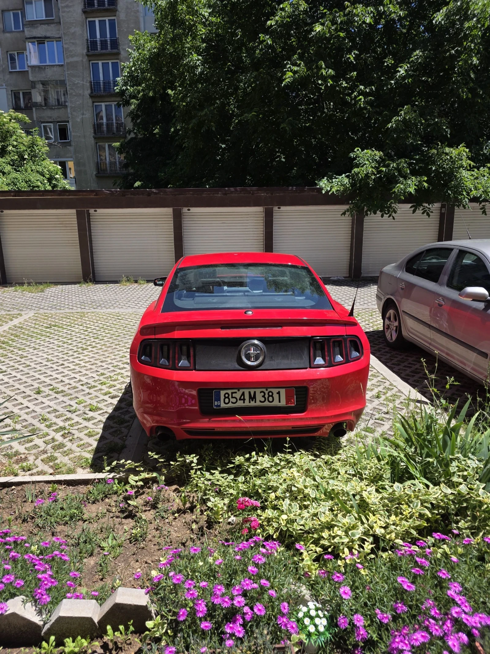 Ford Mustang, снимка 6 - Автомобили и джипове - 54902281