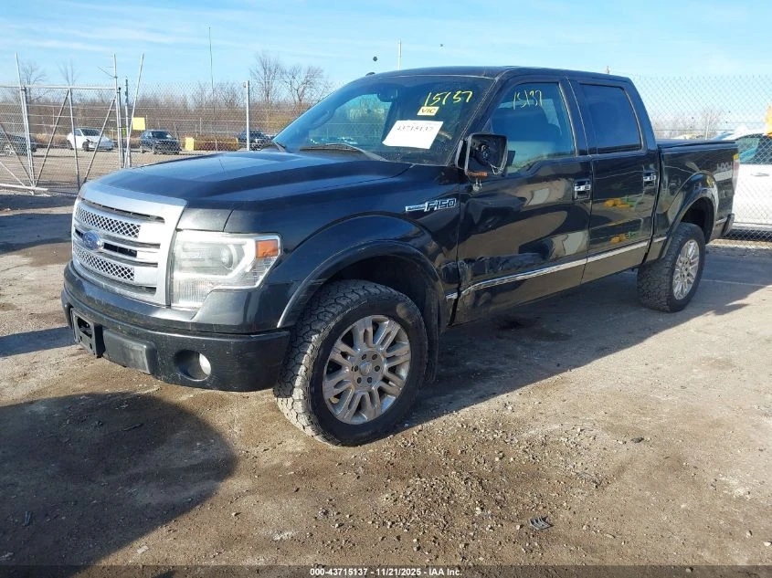 Ford F150 5.0L V-8 DOHC, VVT, 360HP 4X4 Drive - изображение 2