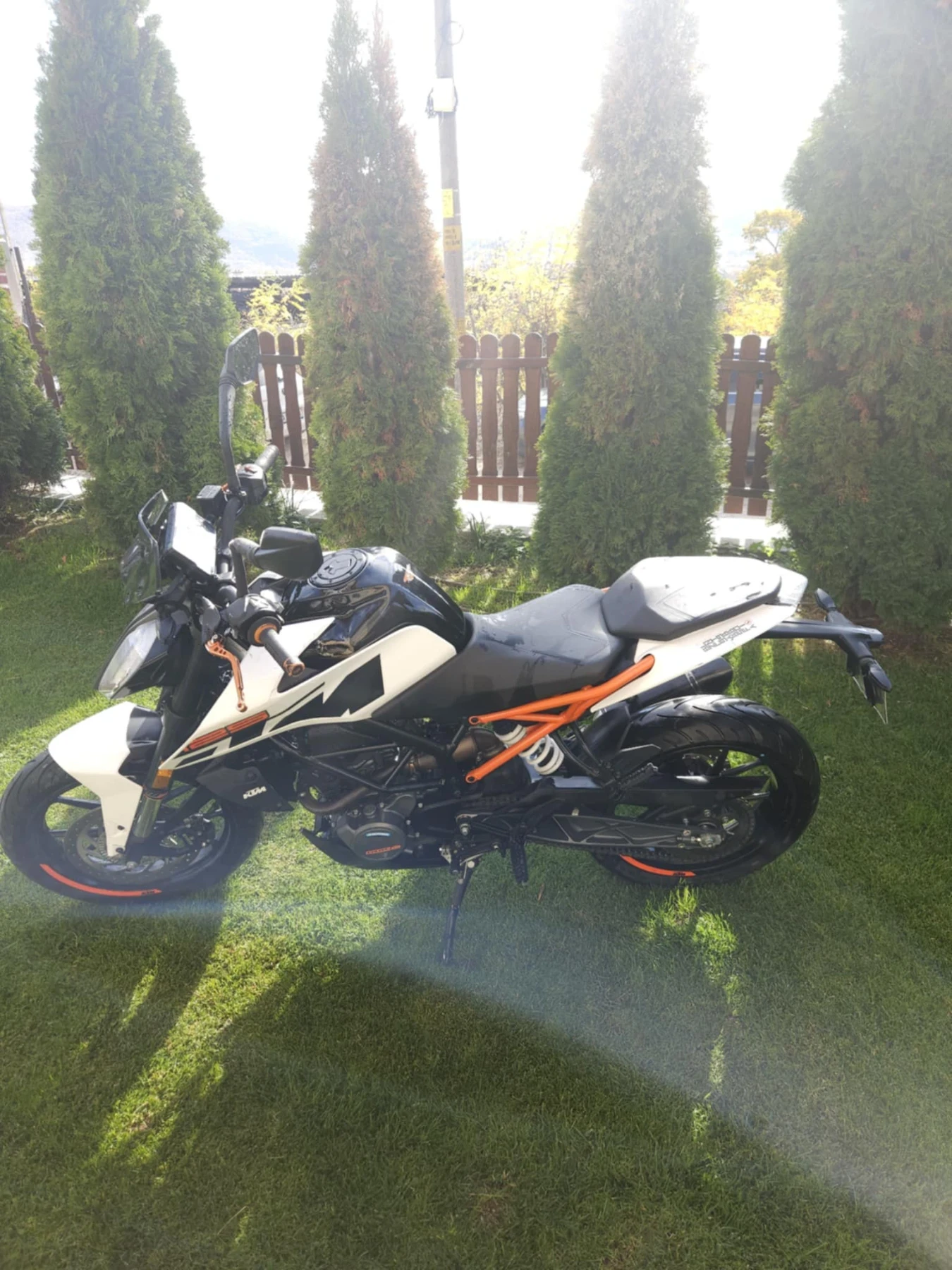 Ktm Duke  - изображение 6