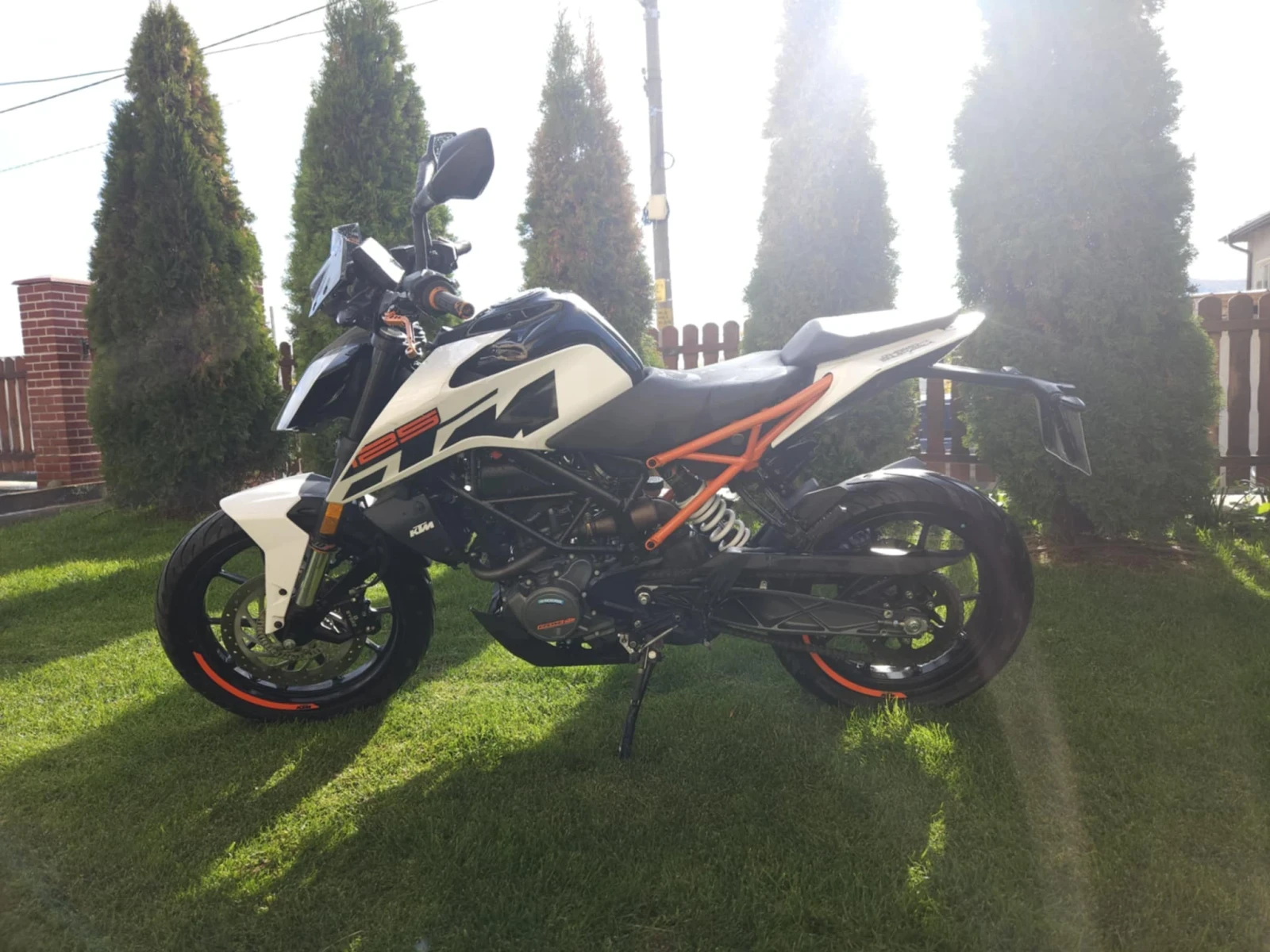 Ktm Duke  - изображение 4