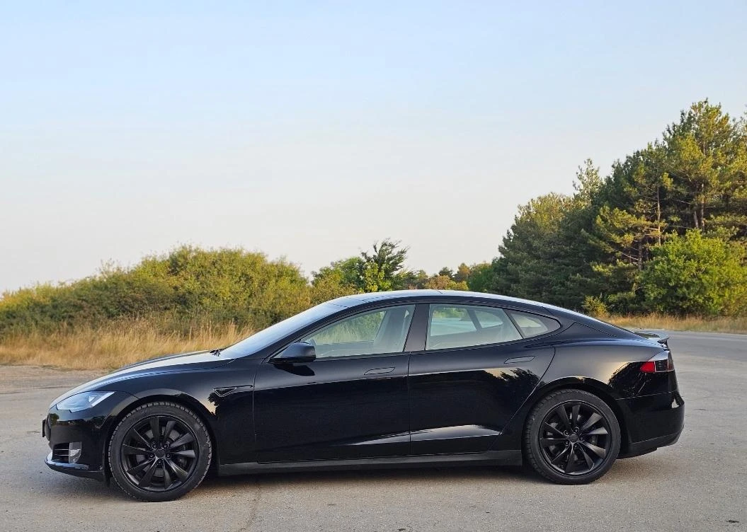 Tesla Model S Performance Signature - изображение 2