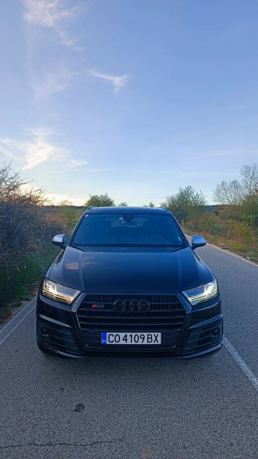 Audi SQ7 4.0, снимка 1