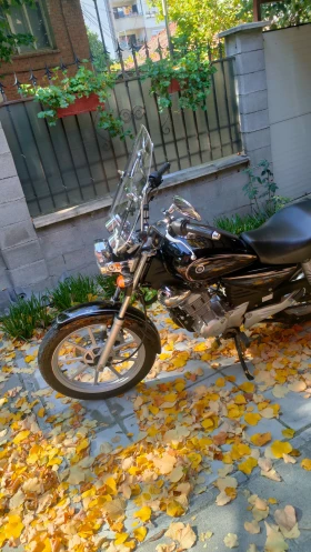 Yamaha YBR Custom 125, снимка 6