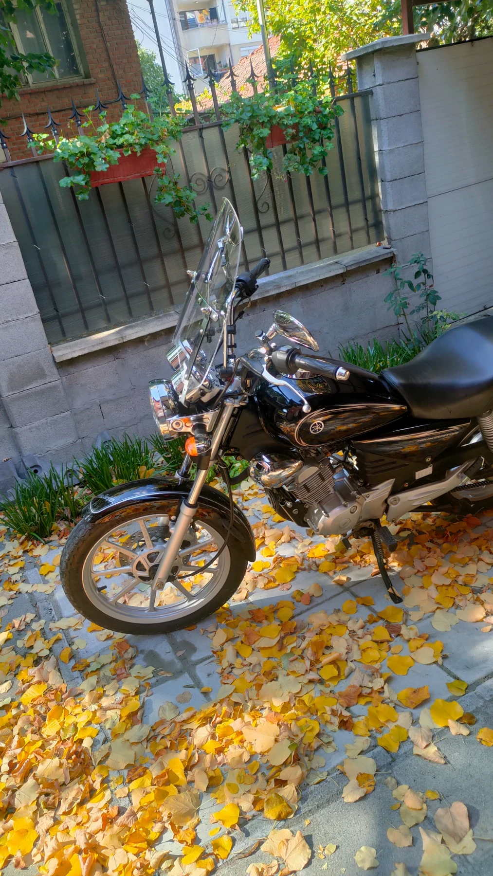 Yamaha YBR Custom 125, снимка 6 - Мотоциклети и мототехника - 55498472
