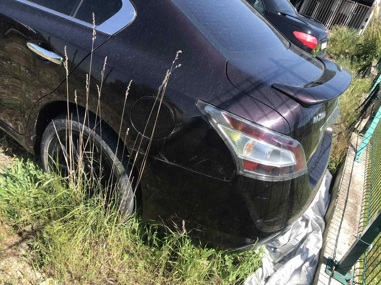 Nissan Maxima 3.5v6, снимка 2 - Автомобили и джипове - 56617638