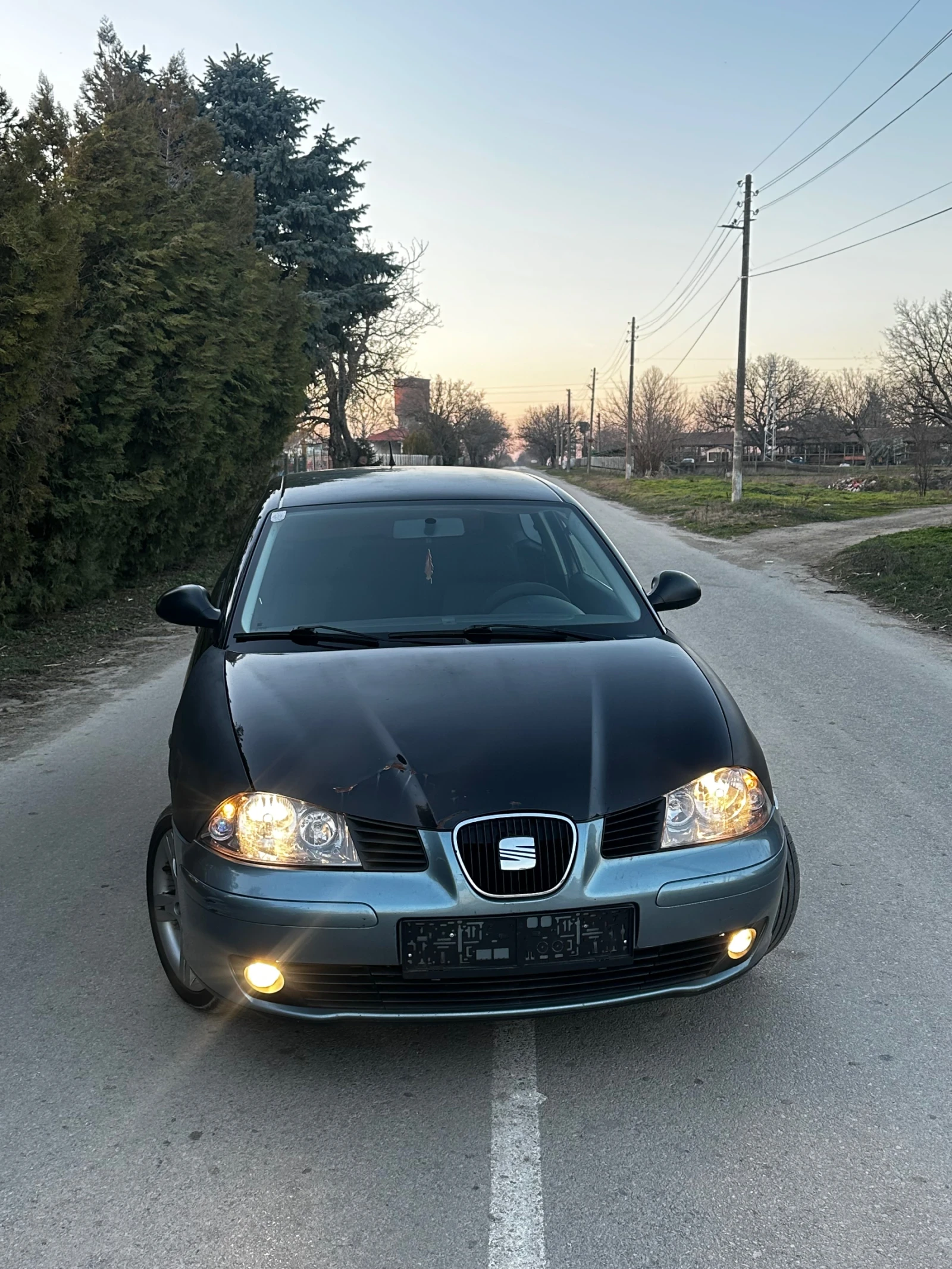 Seat Ibiza 1.9TDI 101hp - изображение 5