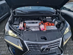 Lexus NX 300h  | Mobile.bg    17