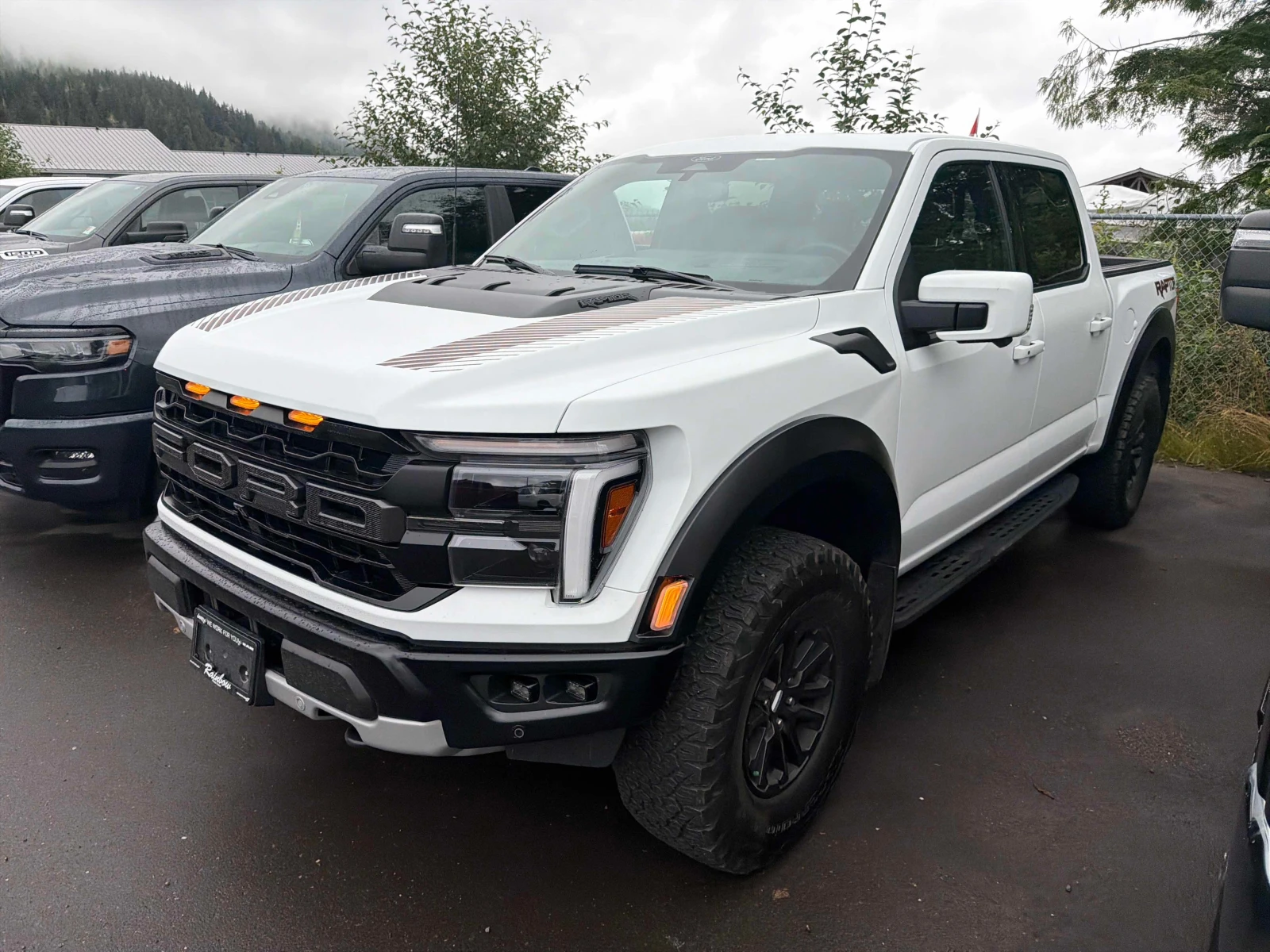 Ford F150 * Raptor * CARFAX * ОПЦИЯ ЗА ФИНАНСИРАНЕ, снимка 15 - Автомобили и джипове - 55887910