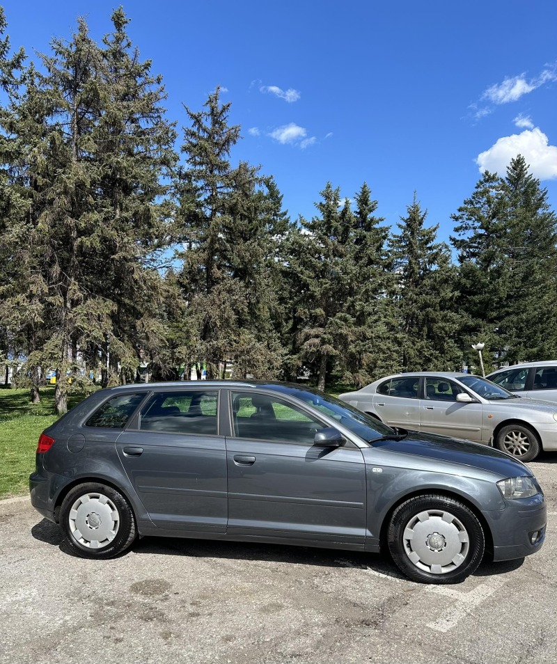 Audi A3 1.6, снимка 3 - Автомобили и джипове - 46103779