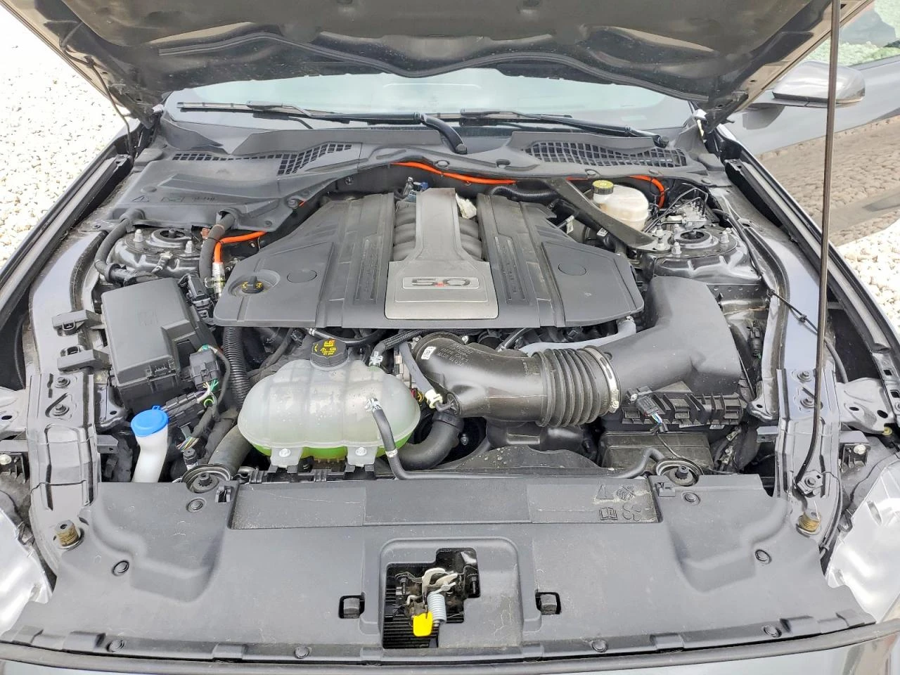 Ford Mustang 5.0l Gt, снимка 11 - Автомобили и джипове - 54742847