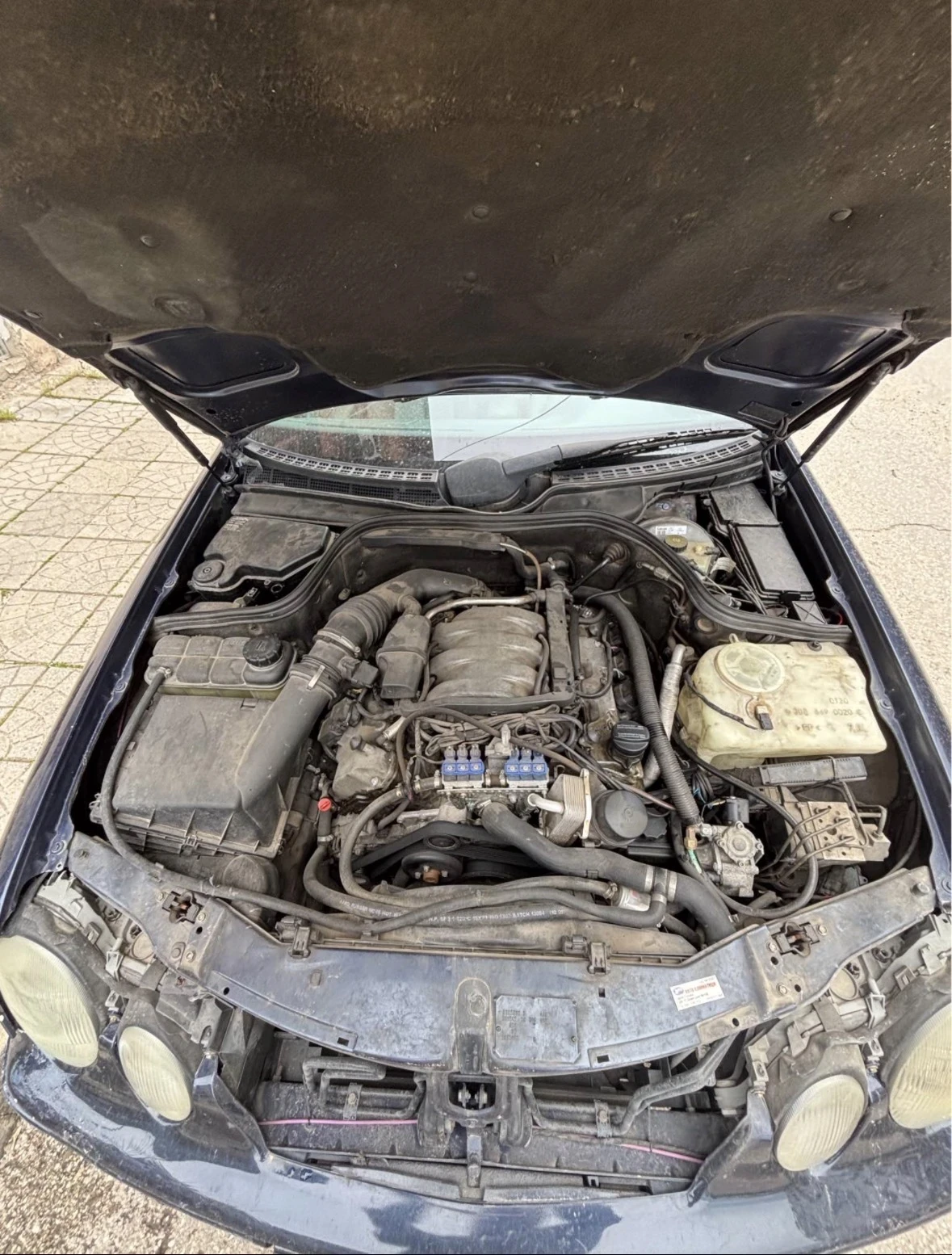 Mercedes-Benz 320 | Mobile.bg � ����������� 10