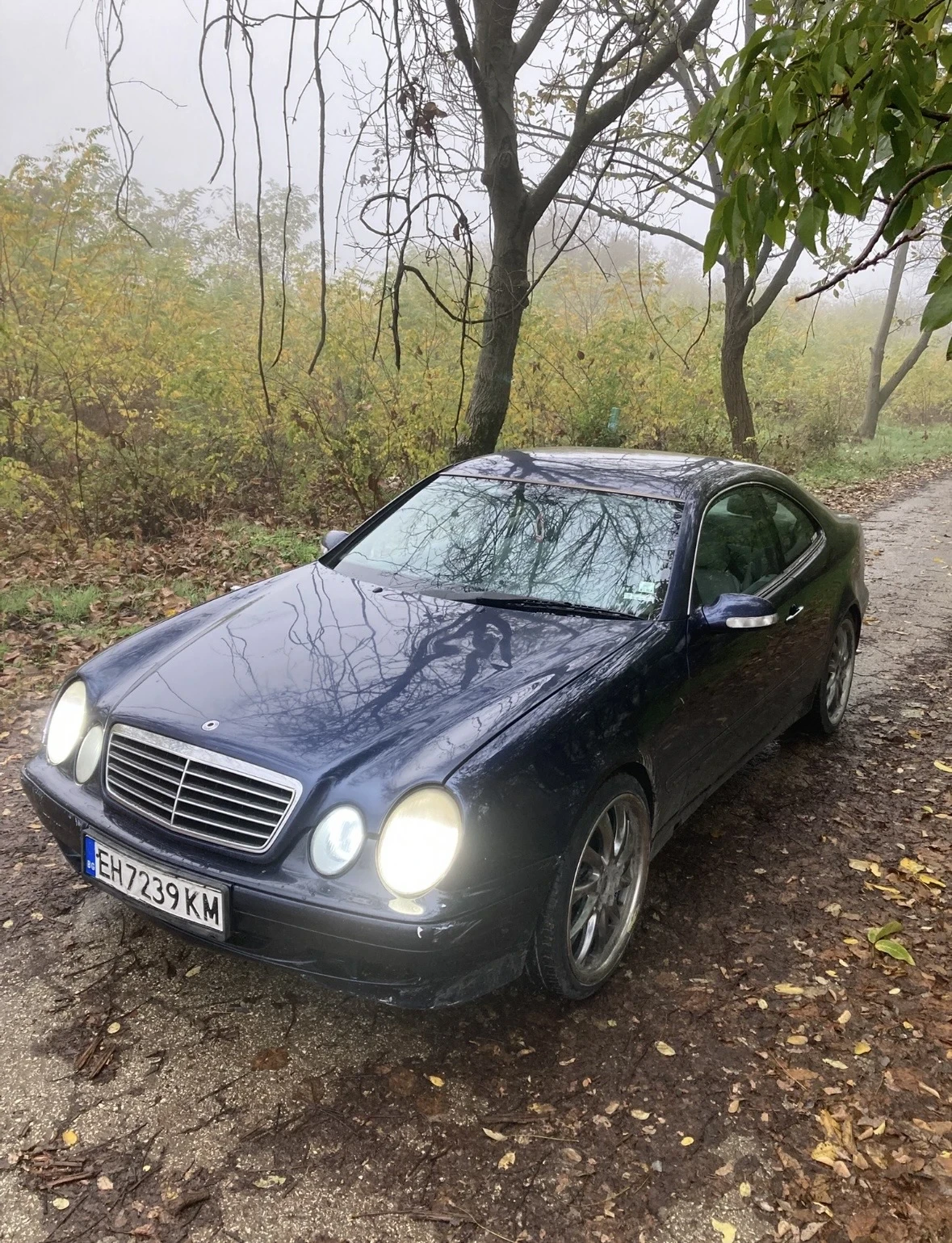 Mercedes-Benz 320 | Mobile.bg � ����������� 5