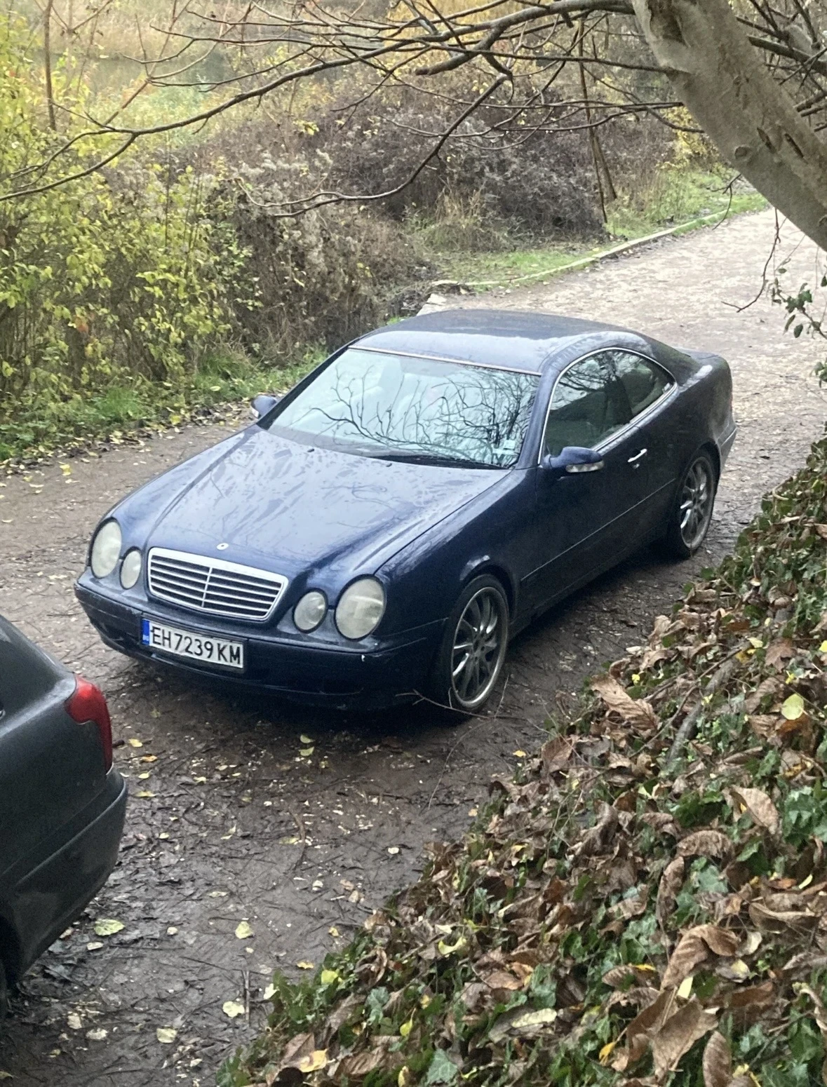 Mercedes-Benz 320 | Mobile.bg � ����������� 6
