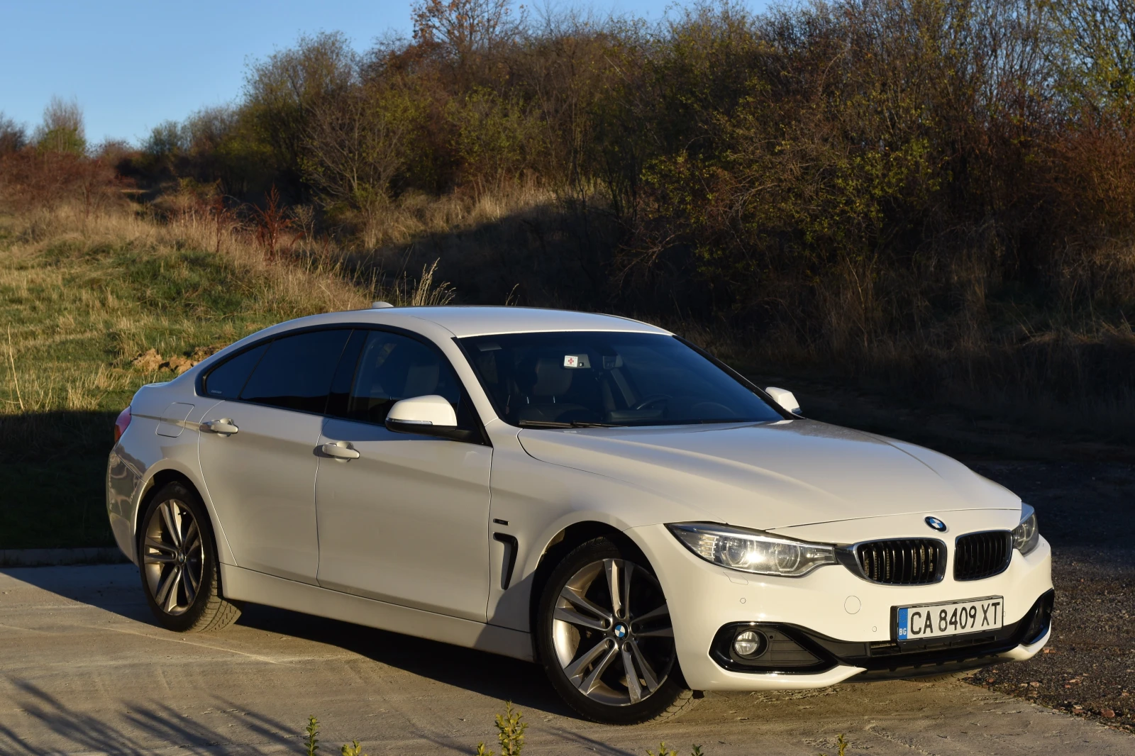 BMW 420 Gran Coupe , снимка 1